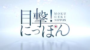 目撃！にっぽん